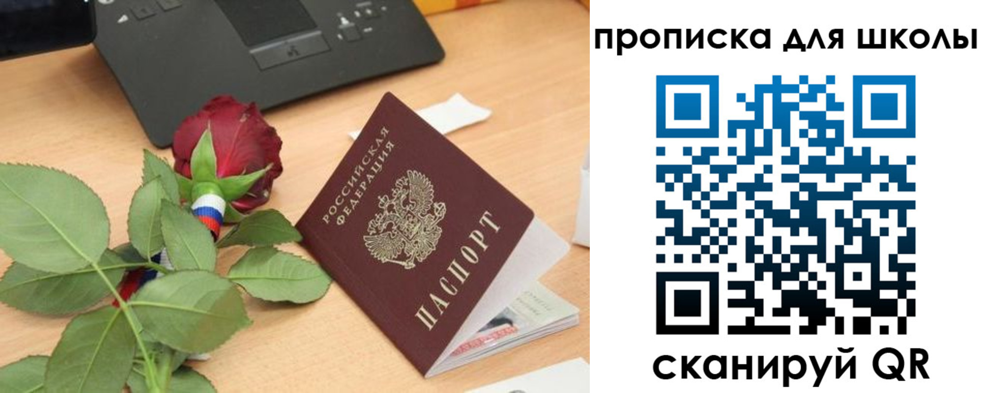 прописка паспорт в Московской области